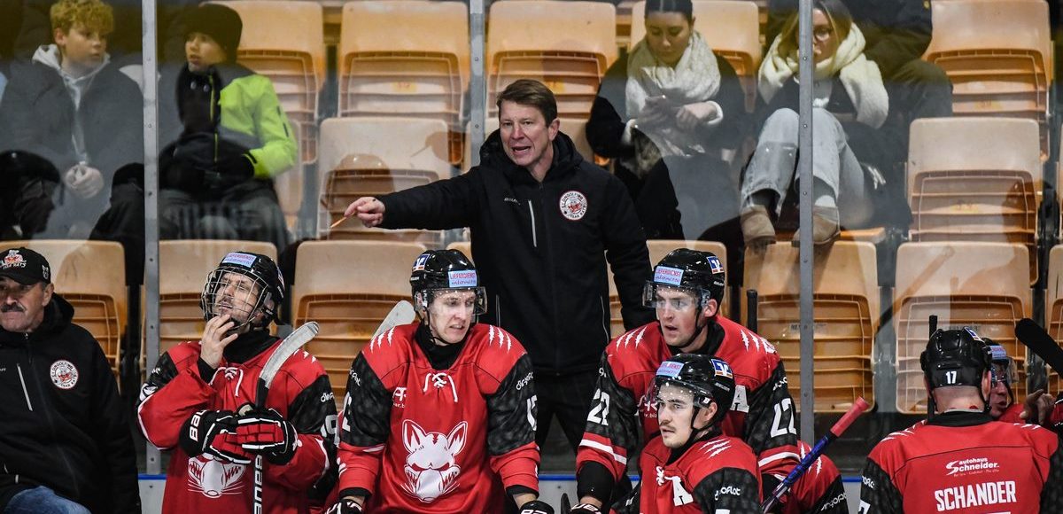 Coach Dustin Whitecotton (EVDingolfing), Eishockey Herren, Bayernliga, 7.Spieltag, Saison 2024 2025 am 03.11.2024 in der Marco Sturm Eishalle in Dingolfing, EV Dingolfing (rot) gegen ESV Buchloe (weiss) Foto: Hockeypics/ Eva Fuchs