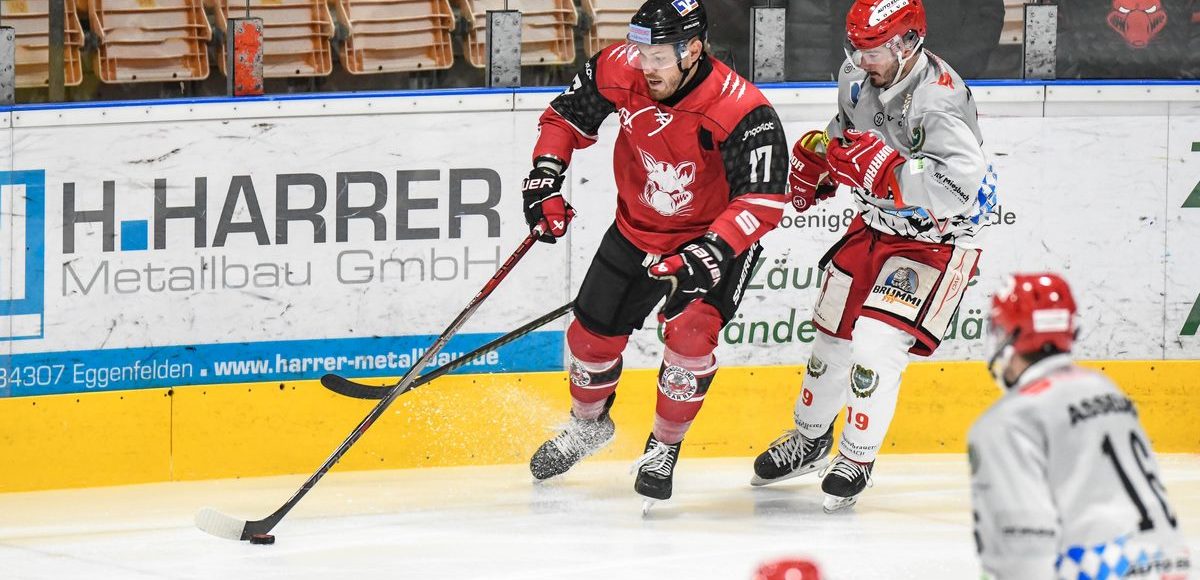 Daniel Schander (EV Dingolfing) im Duell mit Stefan Mechel (TEV Miesbach), Eishockey Herren, Bayernliga, 10.Spieltag, Saison 2024 2025 am 17.11.2024 in der Marco Sturm Eishalle in Dingolfing, EV Dingolfing (rot) gegen TEV Miesbach (weiss) Foto: Hockeypics/ Eva Fuchs